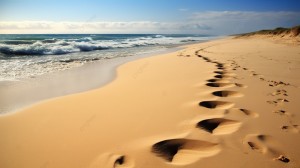 pngtree-footprints-on-the-sand-on-the-beach-image_2695260