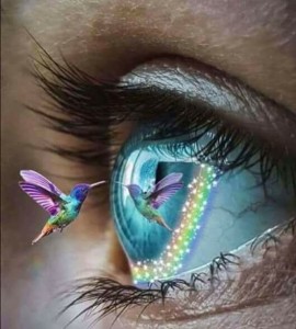 occhio colibrì specchio